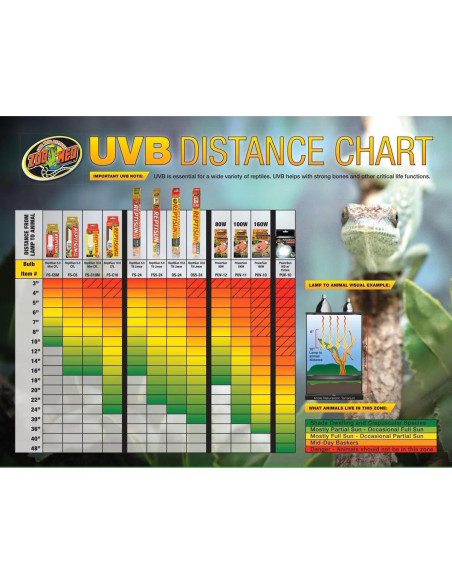 Kit Doble de Iluminación UVB y Calor Zoo Med 3 Piezas