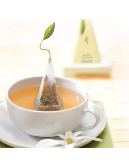 Caja de Regalo de Té Tea Forte - Asortimento 20 Infusores