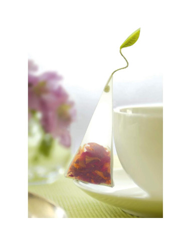 Caja de Regalo de Té Tea Forte - Asortimento 20 Infusores