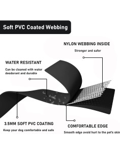 Conjunto Collar y Correa para Perros ZALER, Ajustable e Impermeable 2