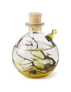 Ecosistema Acuático Autosostenible Rainforest 8.89cm