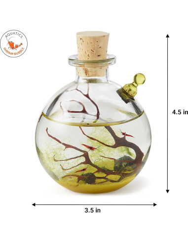 Ecosistema Acuático Autosostenible Rainforest 8.89cm