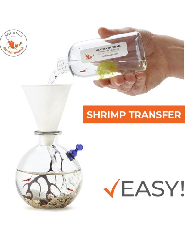 Ecosistema Acuático Autosostenible Rainforest 8.89cm