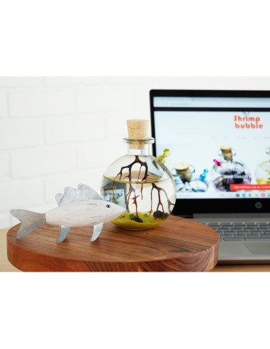 Ecosistema Acuático Autosostenible Rainforest 8.89cm