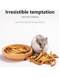 Snack Natural para Hámsters Niteangel - Gusanos Secos 25g 2