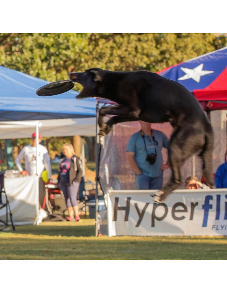 Disco Volador para Perros Hyperflite Jawz 22.23 cm Resistente