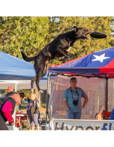 Disco Volador para Perros Hyperflite Jawz 22.23 cm Resistente