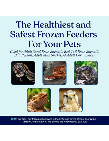 75 Ratones Congelados Pequeños Adultos MiceDirect 19g para Serpientes