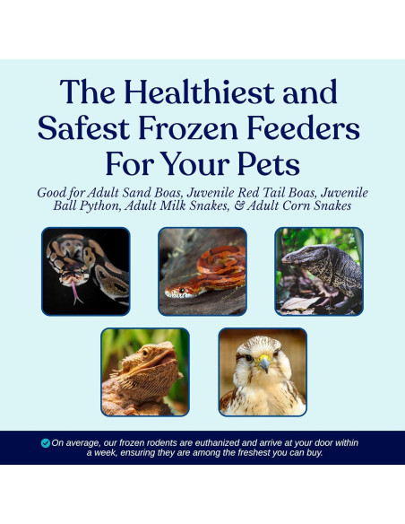 75 Ratones Congelados Pequeños Adultos MiceDirect 19g para Serpientes