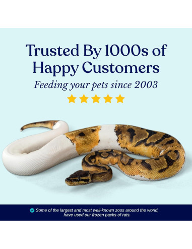 75 Ratones Congelados Pequeños Adultos MiceDirect 19g para Serpientes