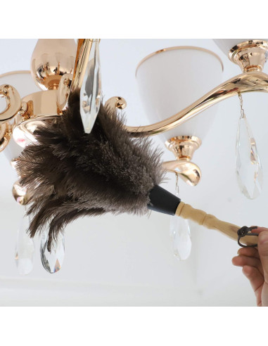 Plumero de Avestruz Gris Natural - 2 Piezas, Limpieza Eficaz