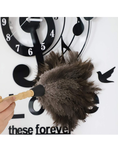 Plumero de Avestruz Gris Natural - 2 Piezas, Limpieza Eficaz