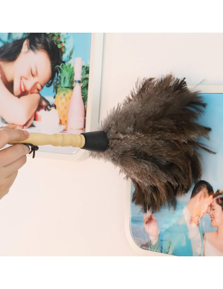 Plumero de Avestruz Gris Natural - 2 Piezas, Limpieza Eficaz