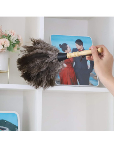 Plumero de Avestruz Gris Natural - 2 Piezas, Limpieza Eficaz