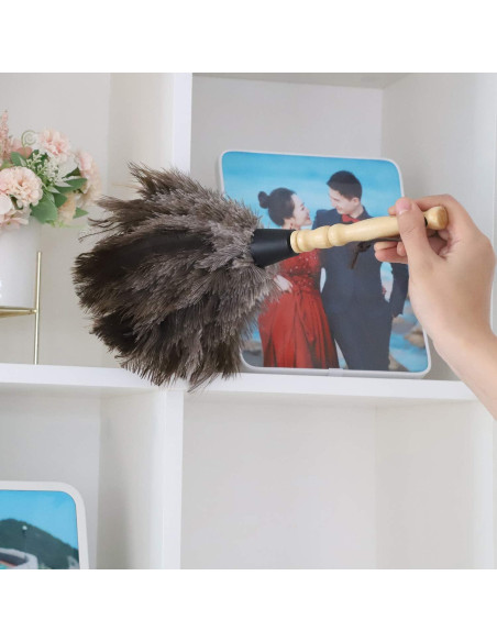 Plumero de Avestruz Gris Natural - 2 Piezas, Limpieza Eficaz