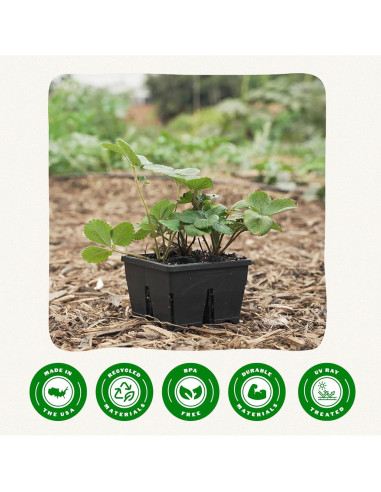 Bandeja de Inicio de Semillas Epic Gardening - 8 Celdas 7.62 cm