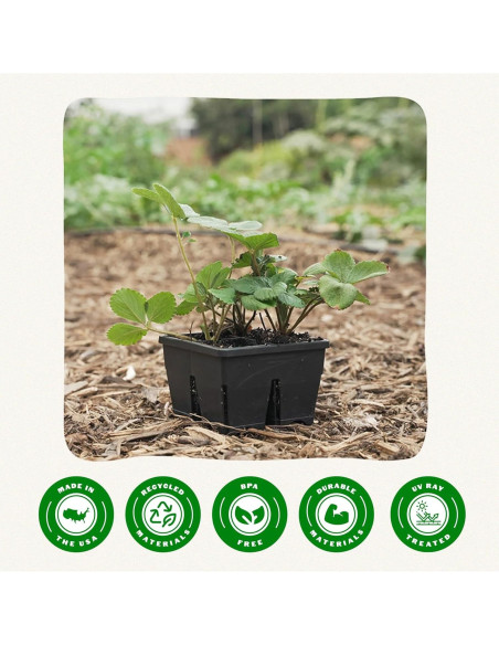 Bandeja de Inicio de Semillas Epic Gardening - 8 Celdas 7.62 cm