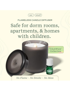 Difusor de Vela Sin Llama Lifelines en Carbón - Aroma Aguja de Abeto 2