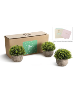 Set de 3 Plantas Artificiales Mini Opps con Maceta Gris 11.9cm 2