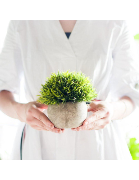 Set de 3 Plantas Artificiales Mini Opps con Maceta Gris 11.9cm