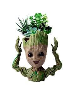 Maceta Sonriente WT WINGTENG para Suculentas 17.78 cm