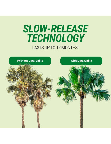 Picos de Fertilizante para Palmas Lutz - 40 Picos de Magnesio