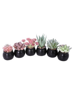 Set de 6 Plantas Suculentas Artificiales Nubry en Macetas Negras