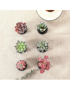 Set de 6 Plantas Suculentas Artificiales Nubry en Macetas Negras 2