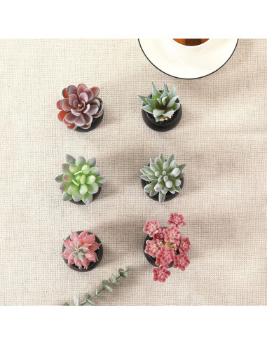 Set de 6 Plantas Suculentas Artificiales Nubry en Macetas Negras