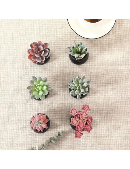 Set de 6 Plantas Suculentas Artificiales Nubry en Macetas Negras