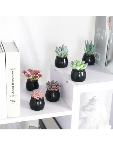 Set de 6 Plantas Suculentas Artificiales Nubry en Macetas Negras