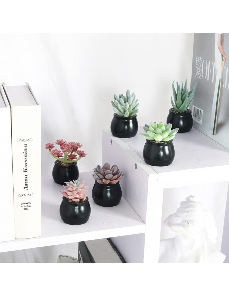 Set de 6 Plantas Suculentas Artificiales Nubry en Macetas Negras