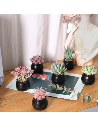 Set de 6 Plantas Suculentas Artificiales Nubry en Macetas Negras