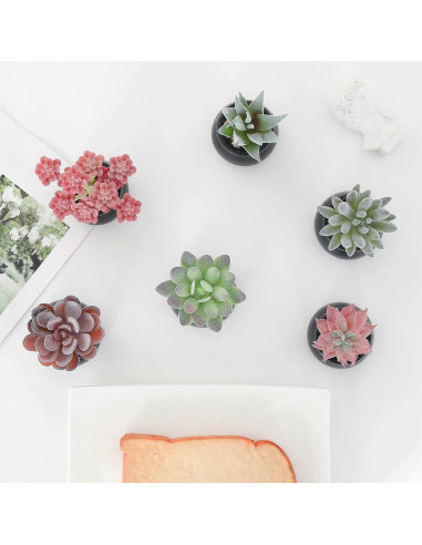 Set de 6 Plantas Suculentas Artificiales Nubry en Macetas Negras