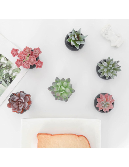 Set de 6 Plantas Suculentas Artificiales Nubry en Macetas Negras