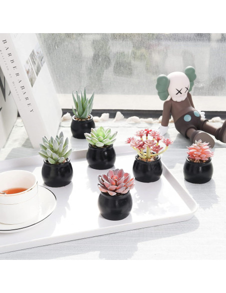 Set de 6 Plantas Suculentas Artificiales Nubry en Macetas Negras