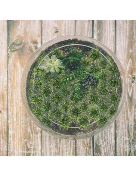 Grupo de Césped Artificial Vaguelly 50 Piezas Resina Verde