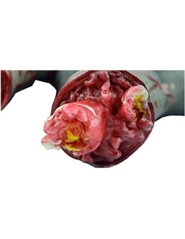 Manos Falsas Decapitadas Halloween Hosfairy 21cm Realistas