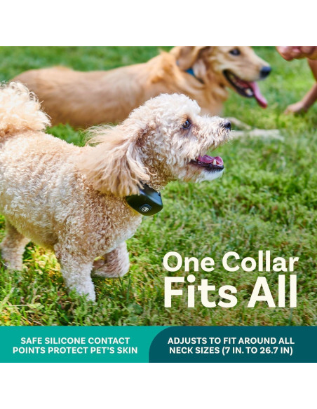 Sistema de Cerca Inalámbrica para Perros PetCove 2 Collares