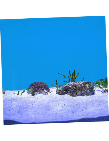 Fondo de Acuario Adhesivo Doble Cara DINHEAROM 1 Hoja 60x30cm