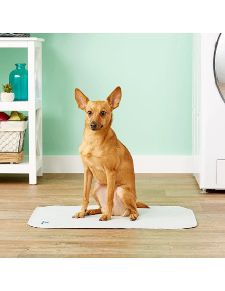Alfombrillas Pawtect Lavables para Perros Pet Parents 45x61 cm
