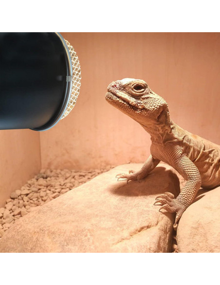 Cubierta de Lámpara de Calor para Reptiles NUOBESTY 13.97 cm