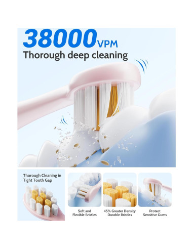 Juego de Cepillos de Dientes Eléctricos CindyLary 2 Paquetes 12 Cabezas