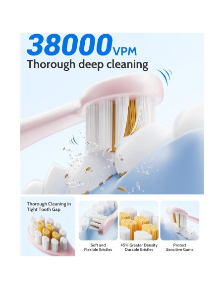 Juego de Cepillos de Dientes Eléctricos CindyLary 2 Paquetes 12 Cabezas