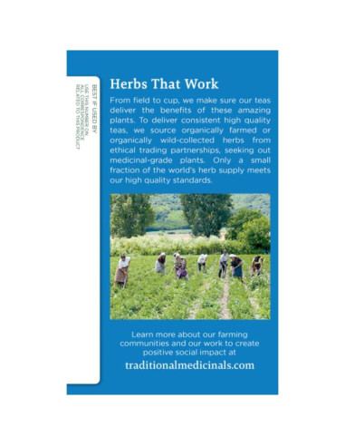 Té de Relajación Orgánico Traditional Medicinals 96 Bolsitas