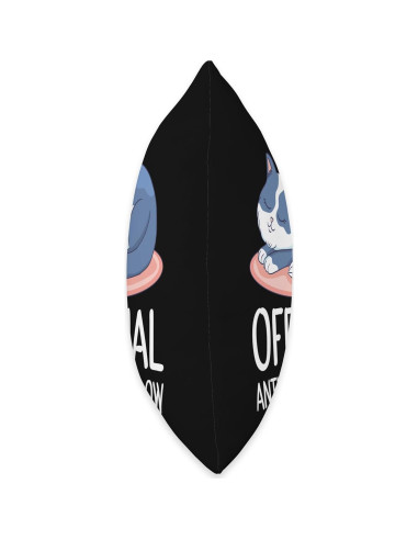 Cojín Antiestrés Gato 40x40 cm Cat Pillow Oficial