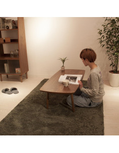 Mesa de Centro Plegable AZUMAYA TAC-229WAL Nogal 100x52x35cm 2