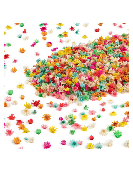 710 Flores Secas Naturales LGFMGWH para Manualidades y Uñas