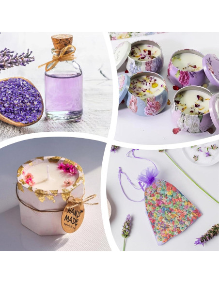 710 Flores Secas Naturales LGFMGWH para Manualidades y Uñas