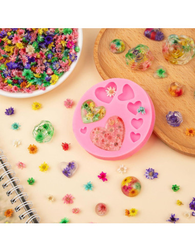 710 Flores Secas Naturales LGFMGWH para Manualidades y Uñas